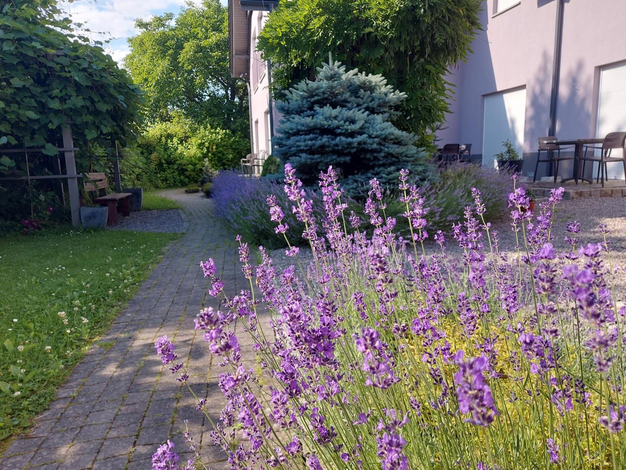 Topolej - Etno Chata Ustroń Exterior foto